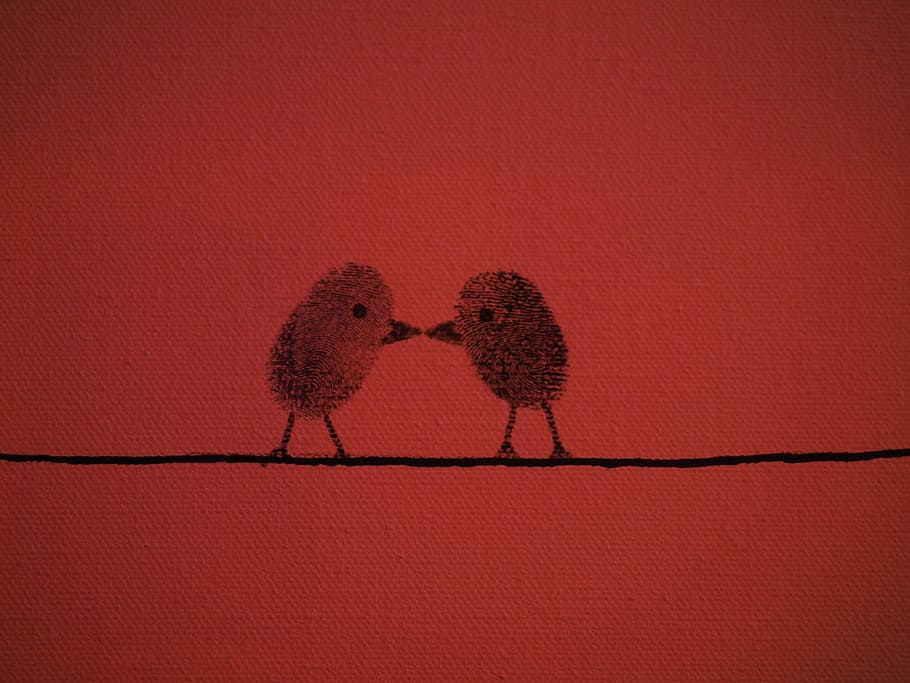 dos, pollito, negro, pintura de alambre, huella digital, pájaros, amor, pareja, amantes, rojo
