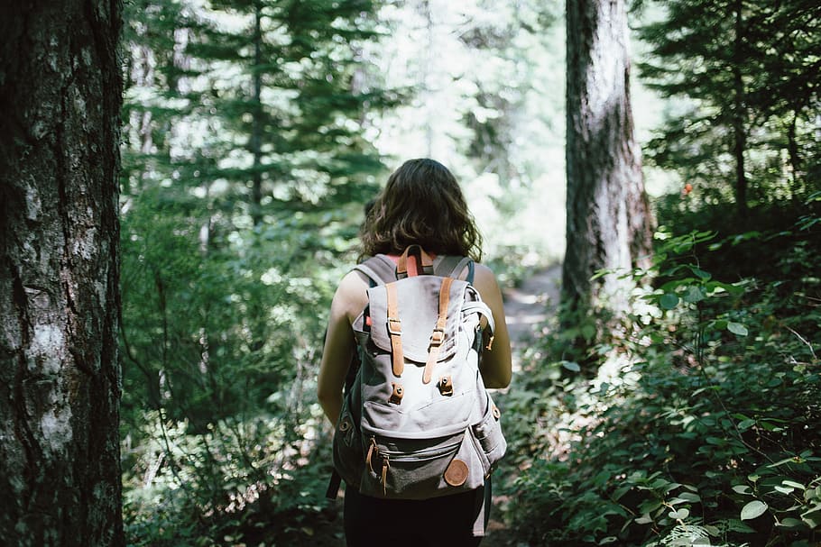 woman, wearing, gray, orange, knapsack bag, hiker, backpacker, hiking, woods, nature