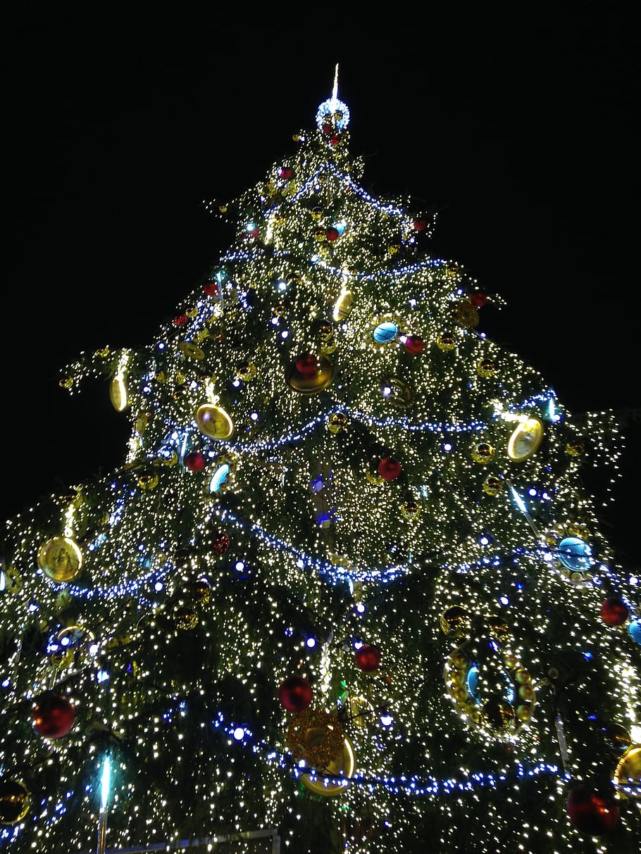 christmas tree, christmas time, christmas, prague, christmas decoration, celebration, decoration, holiday, tree, christmas lights