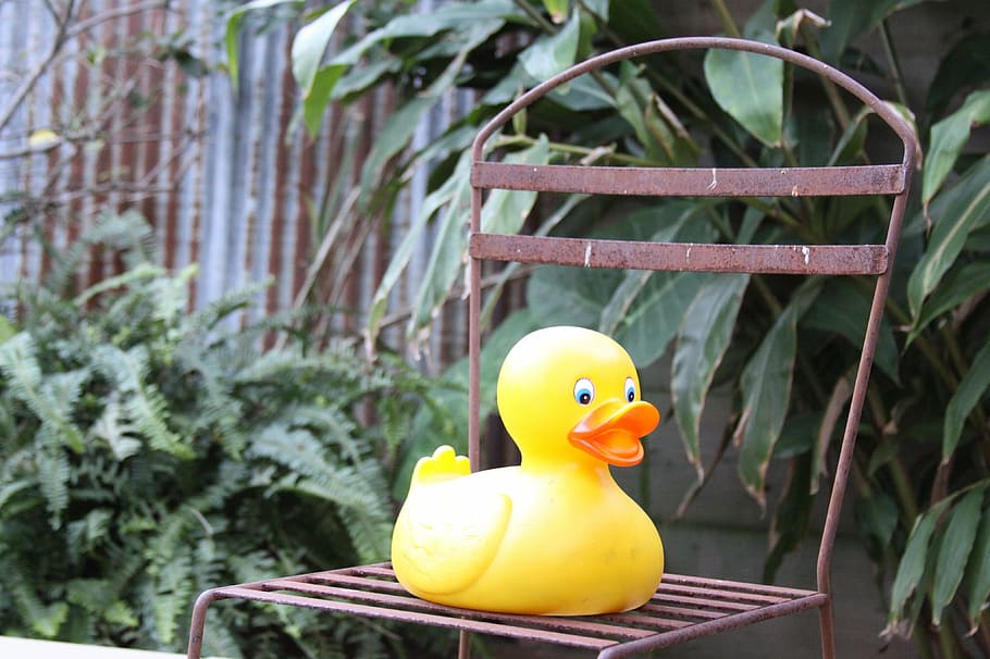 rubber duck, chair, iron, rubber, duck, toys, garden, yard, patio, bird