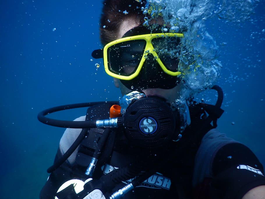 person, wearing, scuba, diving, suit, underwater, divers, swim, scuba diving, sea