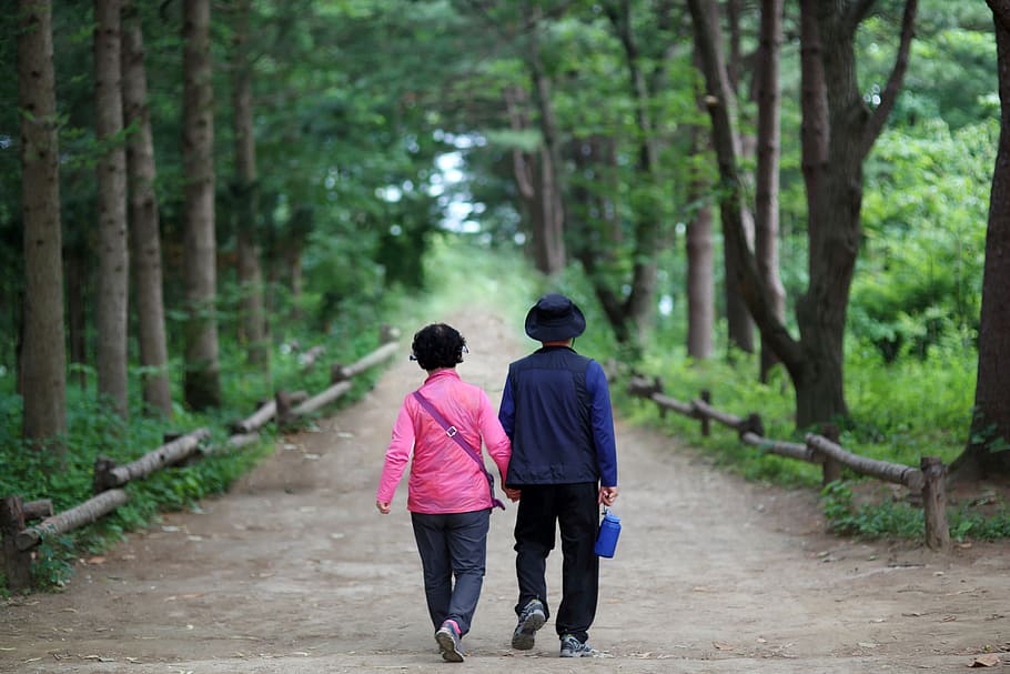 man, woman, holding, hands, walking, gray, pathway, trees, elderly couple, 다정히