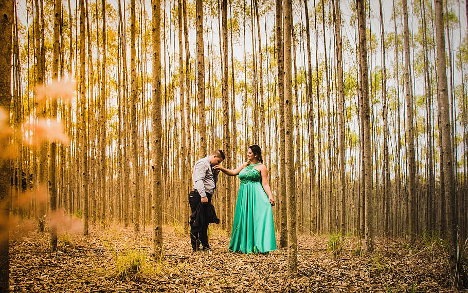nature, couple, love, dress, suit, gown, pre nuptial, woods, forest, man