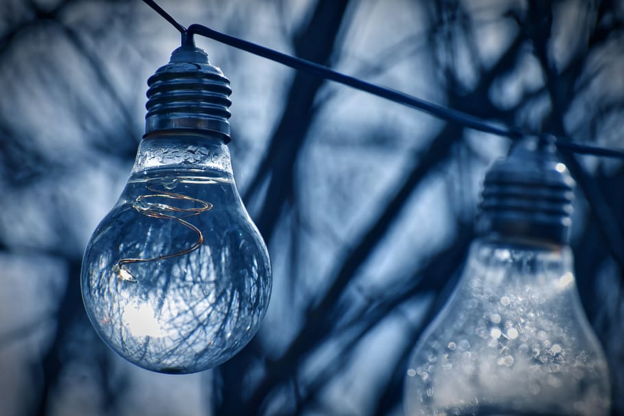 light bulb, water, energy, nature, environment, ecology, light, environmental protection, thoughts, nature conservation