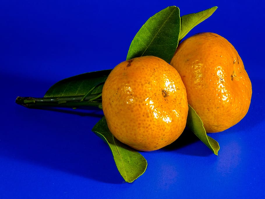 two orange fruits, orange, mandarin, fruit, citrus fruit, food, food and drink, healthy eating, freshness, leaf
