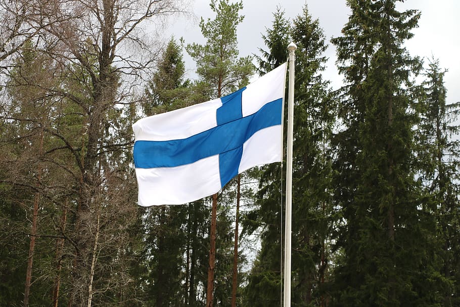 tree, flag, nature, outdoors, finnish, flag of finland, plant, patriotism, low angle view, environment