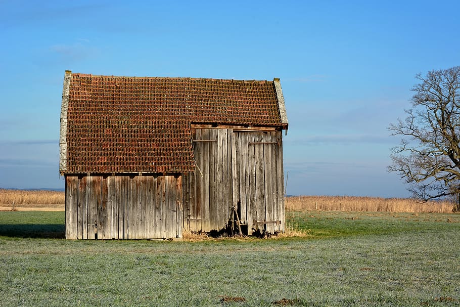 brown, red, wooden, shed, middle, green, grassy, plain, barn, hut
