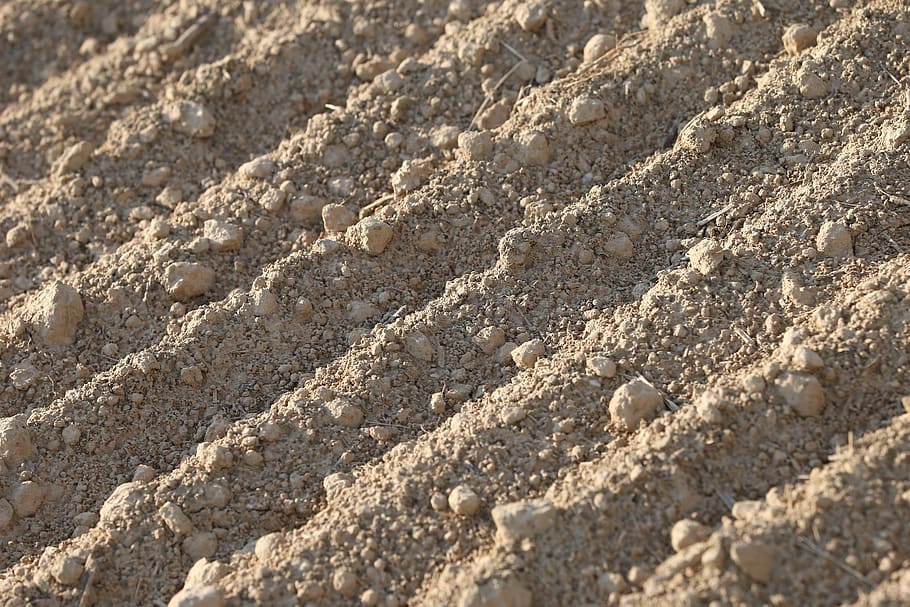 earth, soil, ground, dry, texture, agriculture, agricultural, production, nature, outdoor
