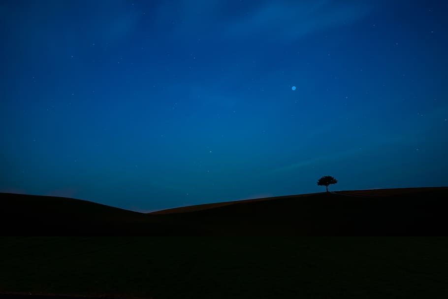 minimalist, tree, landscape, silhouette, nature, shadow, background, night, sky, light