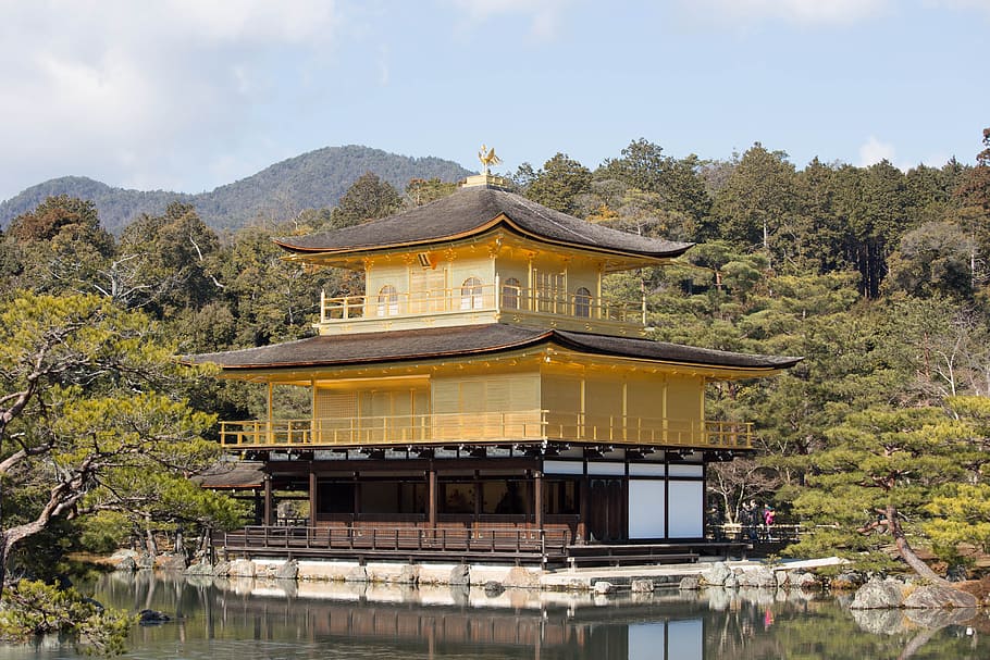 japan, temple of the golden pavilion, kyoto, architecture, built structure, plant, tree, lake, building exterior, mountain