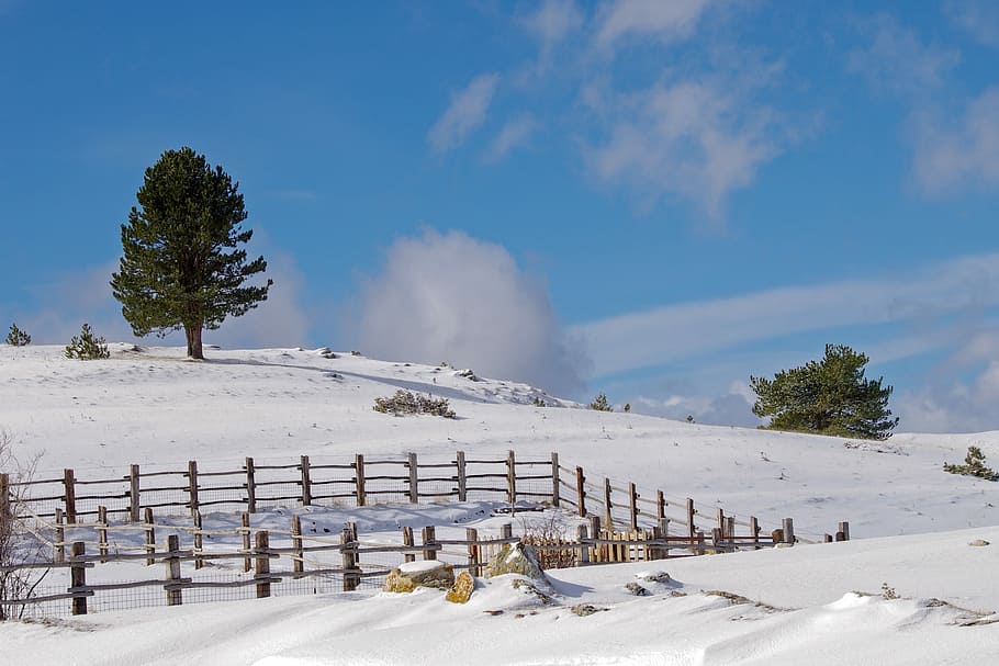 Campotosto, L'Aquila, Snow, winter landscape, abruzzo, italy, the abruzzo national park, national park of abruzzo, gran sasso, the apennines