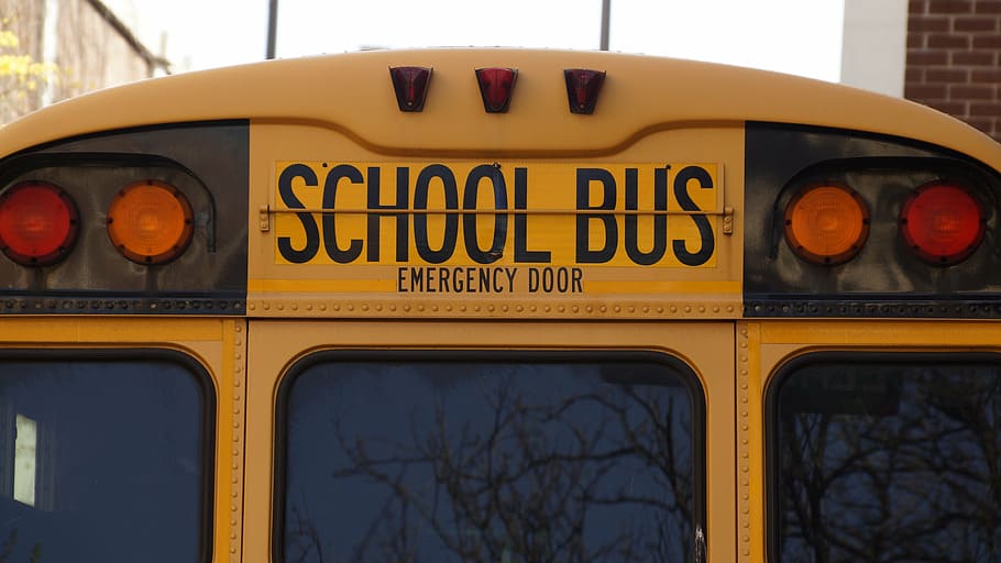 school bus, bus, school, yellow, transportation, education, vehicle, transport, usa, back