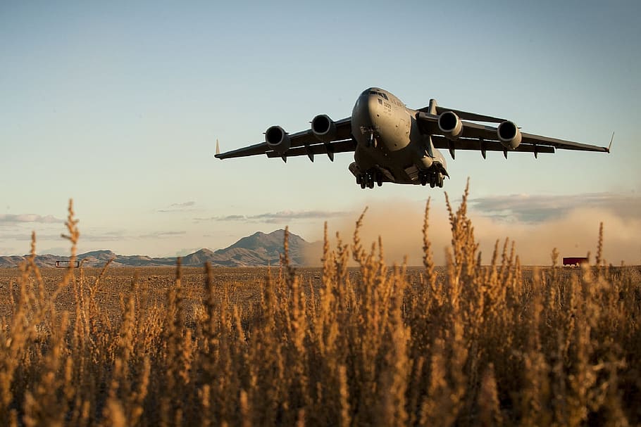gray, airplane, flew, grass field, daytime, plane, military, takeoff, runway, cargo