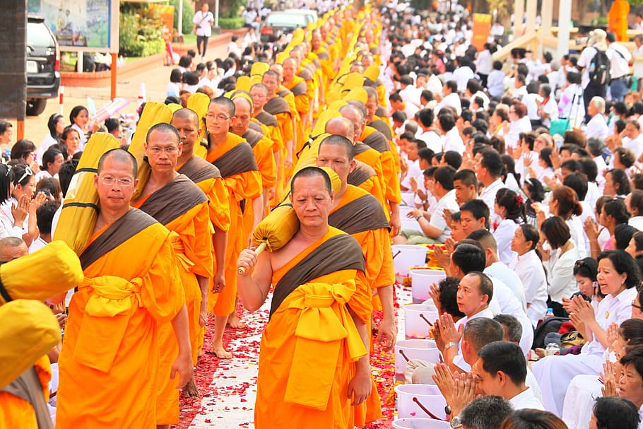 budistas, monjes, naranja, túnicas, ceremonia, convención, reunión, meditación, personas, paz