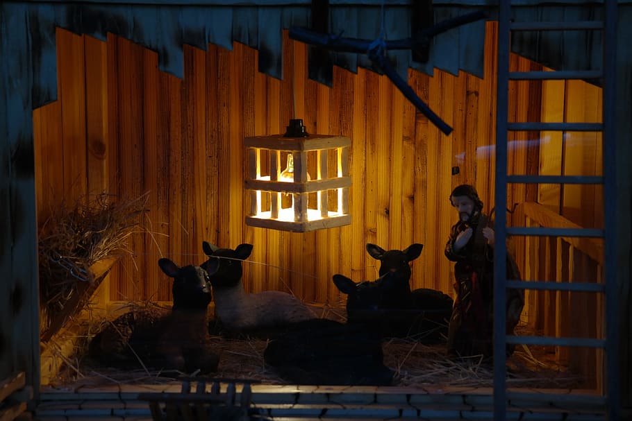 the nativity figurine, Crib, Stall, Nativity Scene, joseph, advent, christmas, christmas time, sheep, night