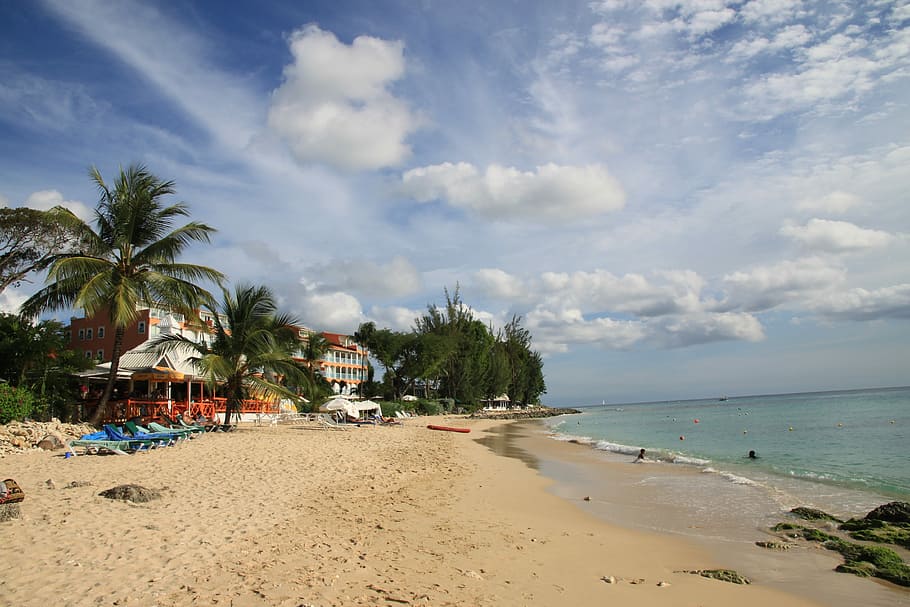 Barbados, praia, sol, palmeira, areia, mar, céu, nuvem - céu, de praia, terra