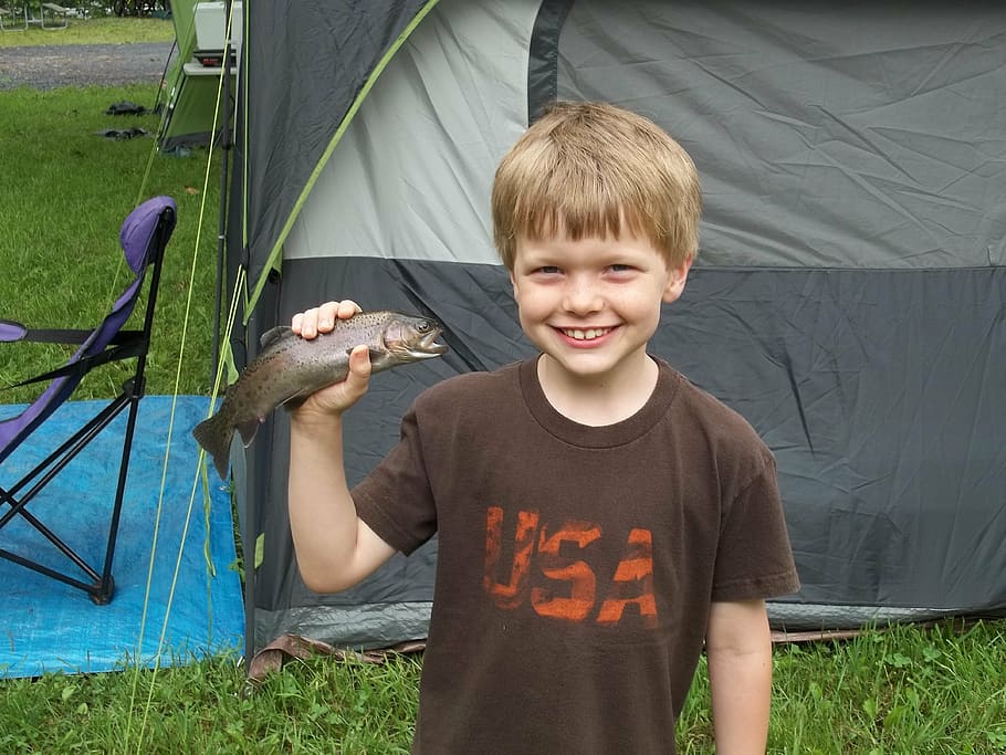happy boy, boy with fish, summer camp, summer vacation, fishing trip, fishing, tent, camping, child, outdoors