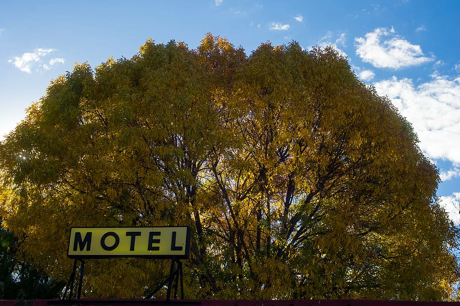 motel, travel, accommodation, tourism, journey, tree, sign, communication, plant, sky