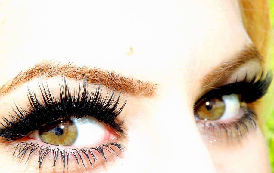 close-up photography, woman, wearing, black, mascara, false, eyelashes, brown, eyebrow liner, false eyelashes