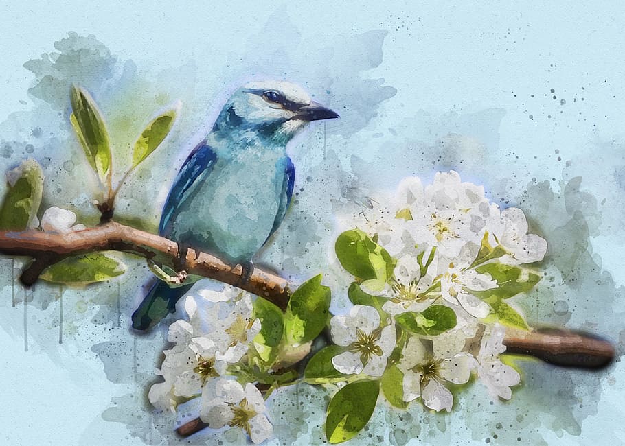 bluebird painting, bird, blue, feathered, mood, close, nature, tree, cherry blossom, spring