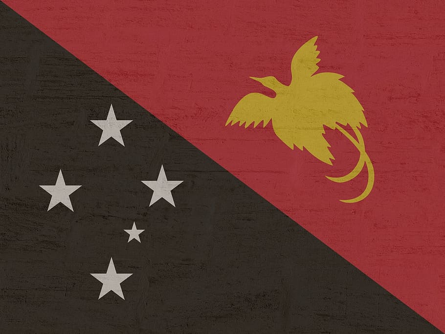 papua new guinea, flag, international, star shape, shape, patriotism, red, art and craft, leaf, creativity