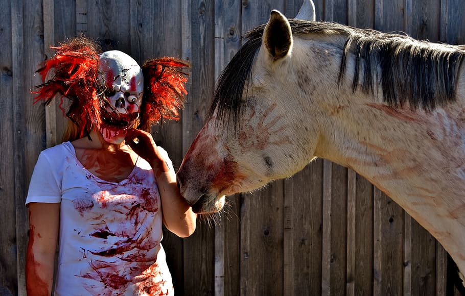 halloween, bloody, horror clown, creepy, art blood, horse, pony, mold, in blood, halloween shooting