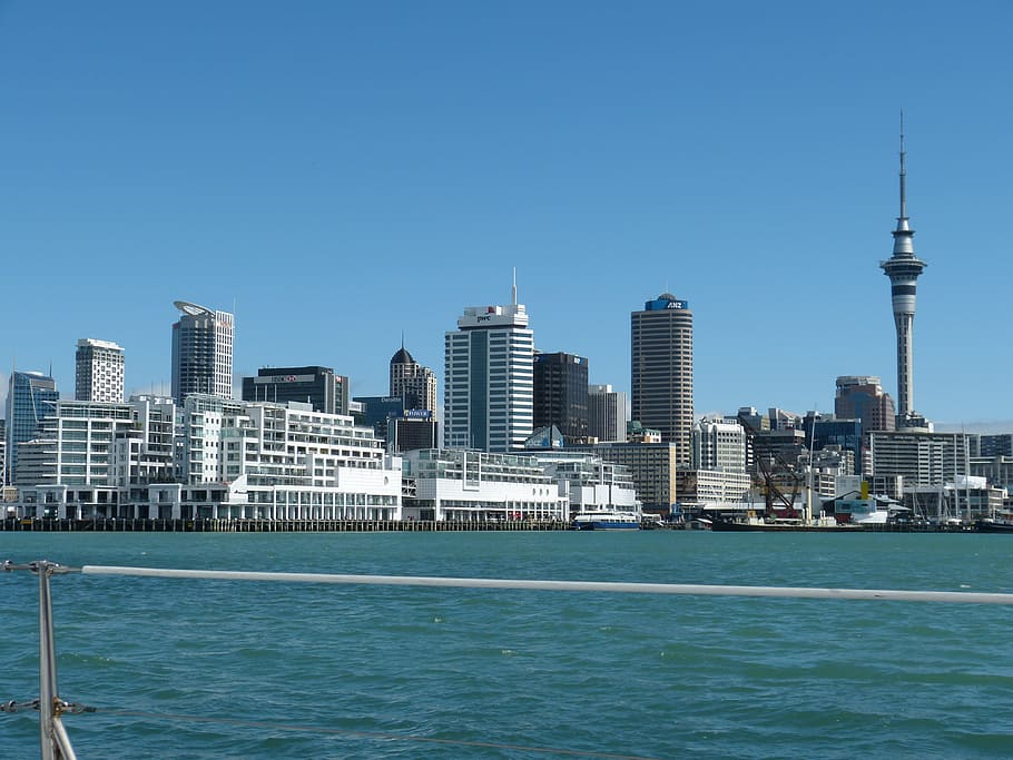 blanco, alto, edificio, cuerpo, agua, Nueva Zelanda, Auckland, horizonte, rascacielos, ciudad