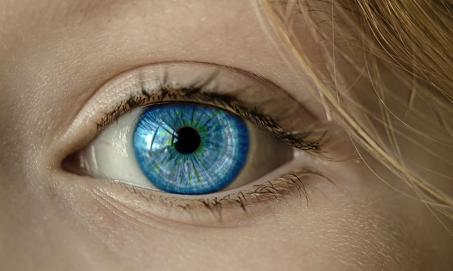 human eye, eye, blue eye, iris, pupil, face, close, lid, eyelashes, eye macro