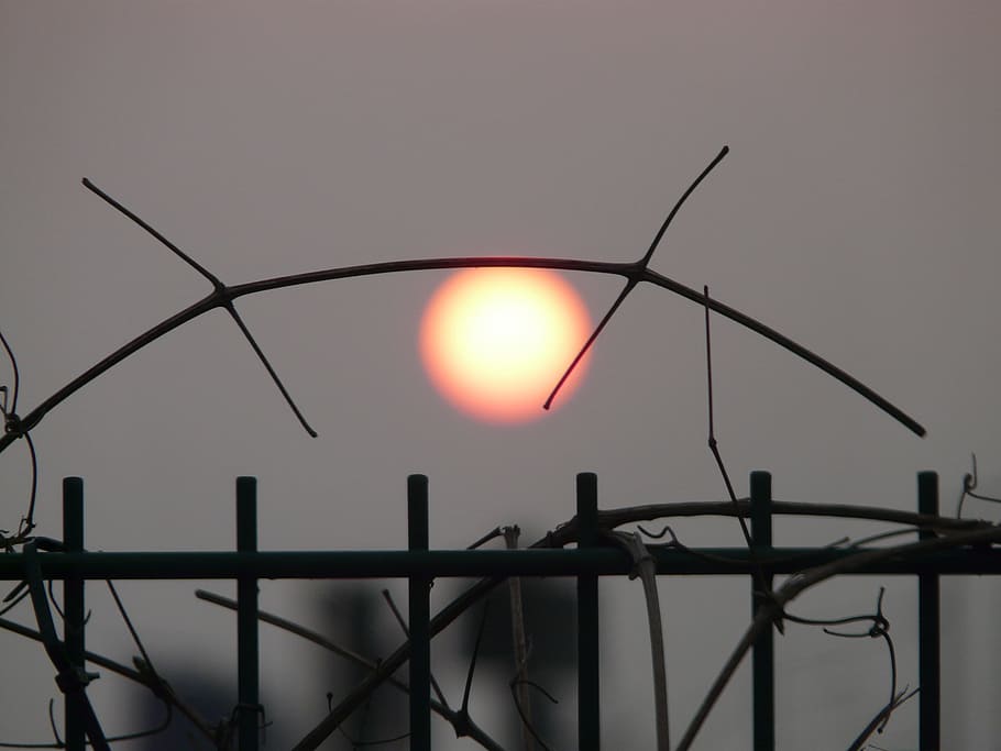 Sun, Pale, Gloomy, Mood, end of the world, fence, caught, grey, trist, lost