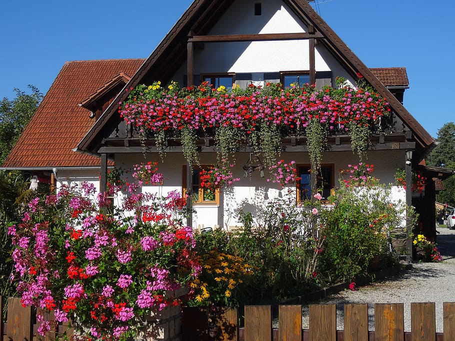 home, floral decorations, facade, balcony, veranda, balcony plant, geranium, plant, flower, flowering plant