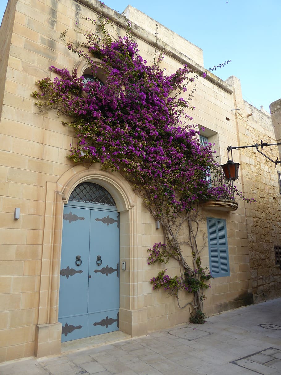 malta, mdina, mediterranean, architecture, building, home, wall, holiday, door, facade