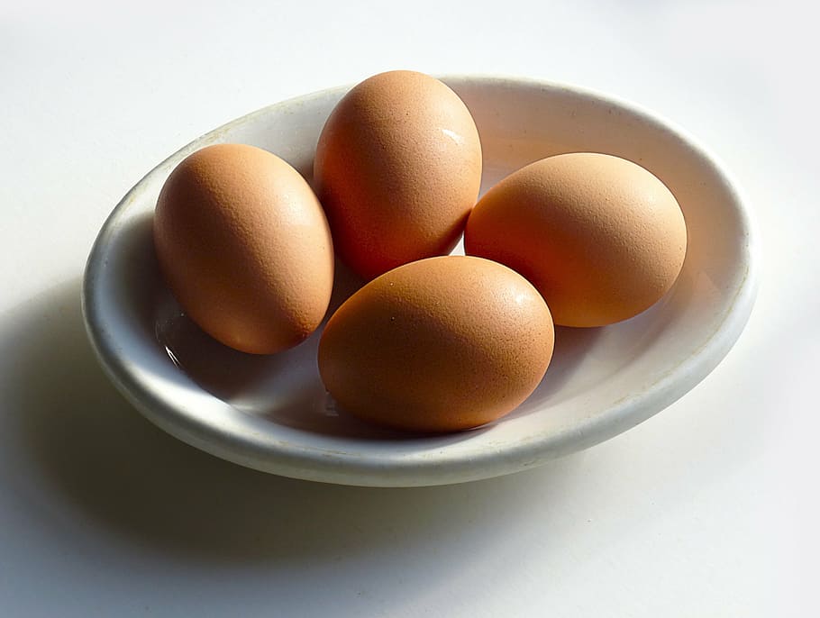 four, brown, eggs, white, ceramic, tray, egg, chicken, food, healthy
