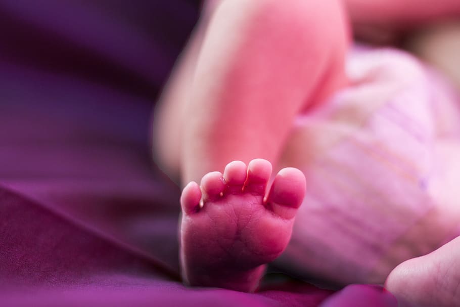 foot of drink, bebe, child, son, pink color, close-up, human body part, one person, human foot, body part