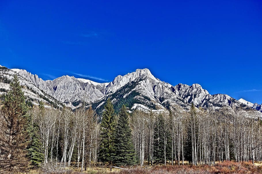 Mountains, Rockies, Scenic, Trees, nature, wilderness, landscape, scenery, day, outdoors