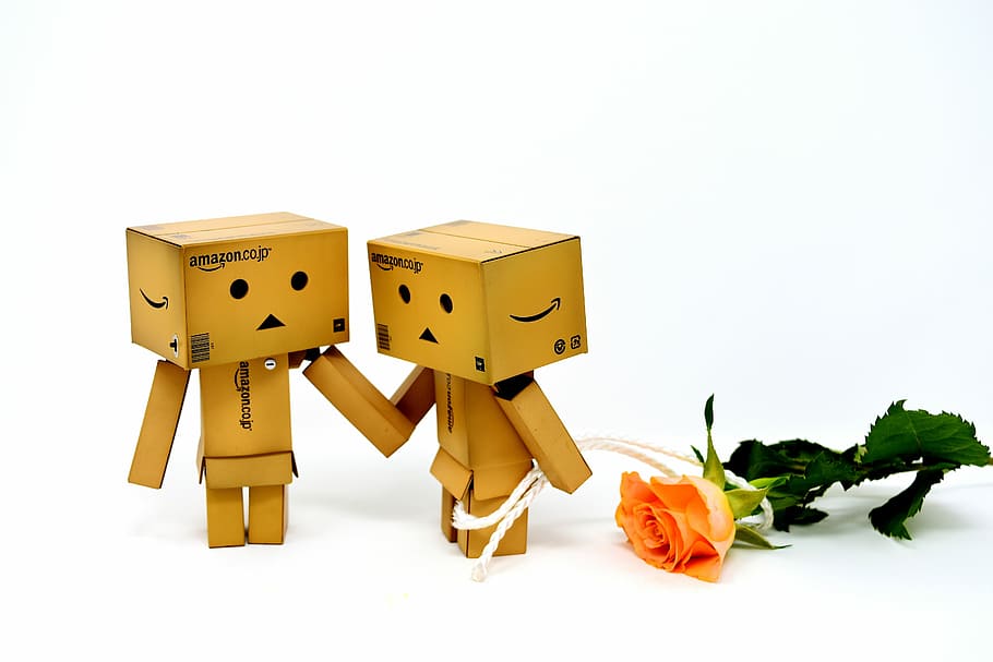 dois, marrom, caráter de caixas de papelão, ao lado, rosa, desculpe-me, amor, rosas, flores, dia dos namorados