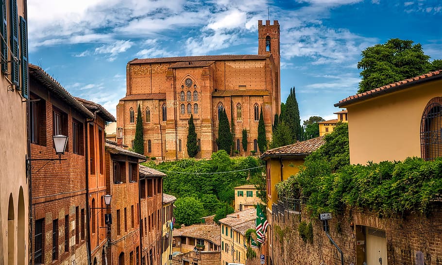 foto, marrón, catedral, Siena, Italia, ciudad, pueblo, hitos, histórico, viajar