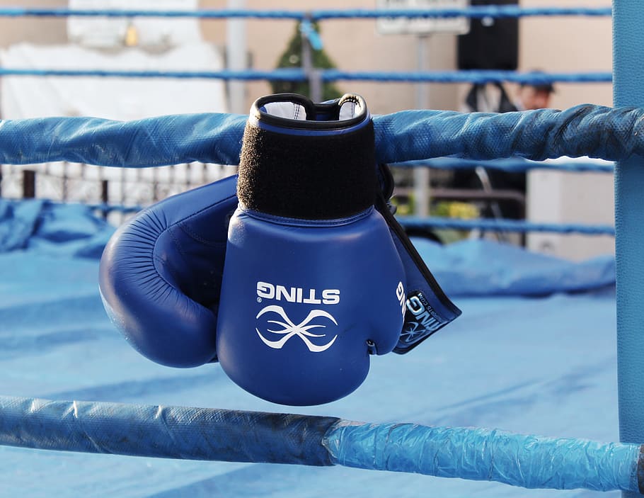 selective, focus photography, blue-and-black sting training gloves, boxing, boxing gloves, match, blue, ring, passion, sport