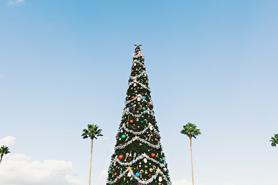 pohon natal, pernak-pernik, lampu senar, tutup, foto, tinggi, sudut, pemandangan, pra, lit