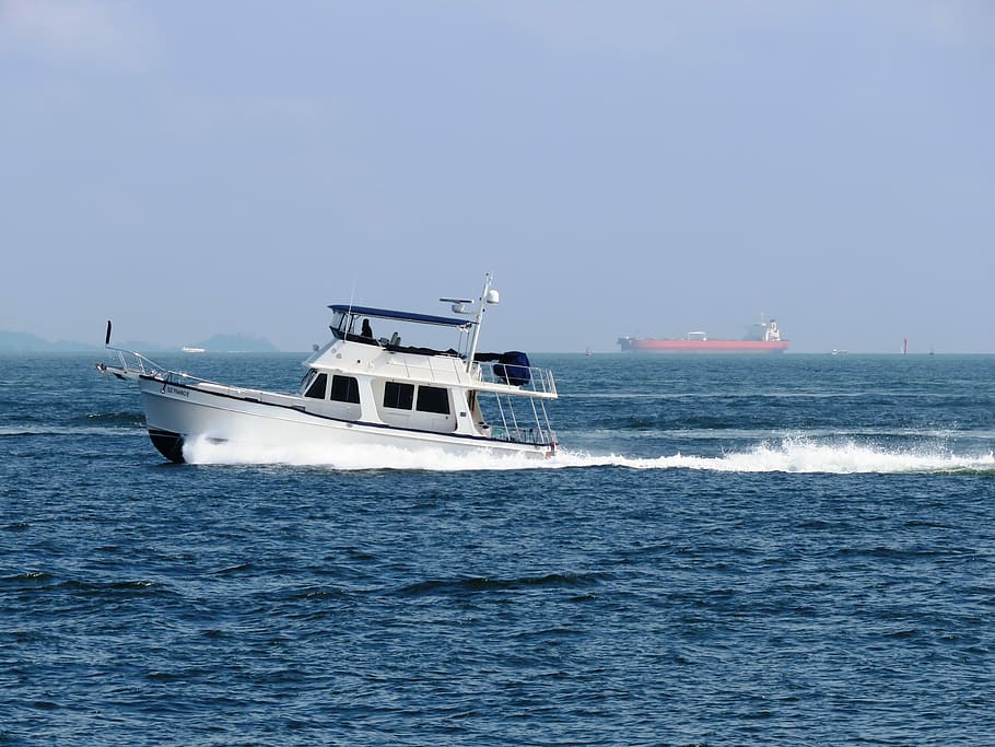 Passenger, Speed Boat, boat, speed, leisure, motor, speedboat, ship, cruise, yacht