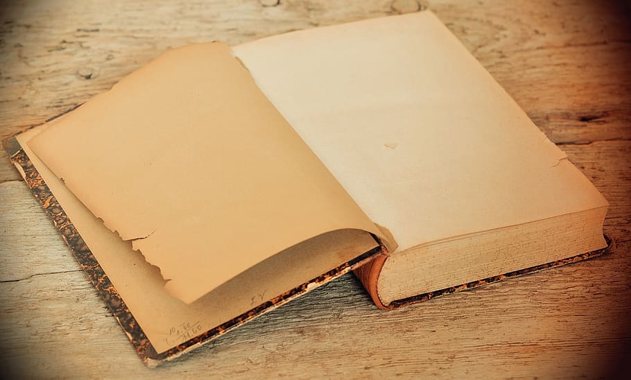 brown open book, book, old, antique, pages, empty pages, book pages, retro look, vintage, text dom