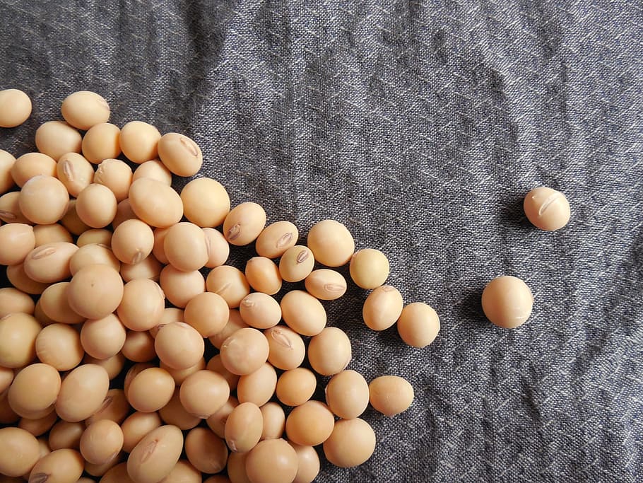 closeup, soy beans, soybeans, beans, soy, food, grains, seeds, healthy, organic