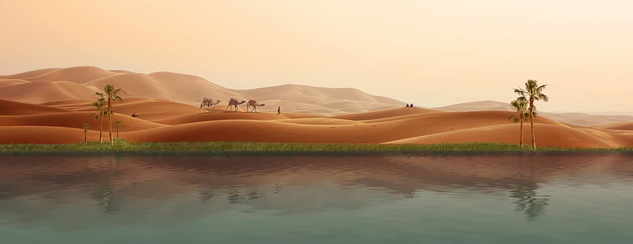 Ilustración de caminar en camello, oasis, desierto, caravana, palmeras, dunas, fotomontaje, puesta de sol, pintorescos - naturaleza, belleza en la naturaleza