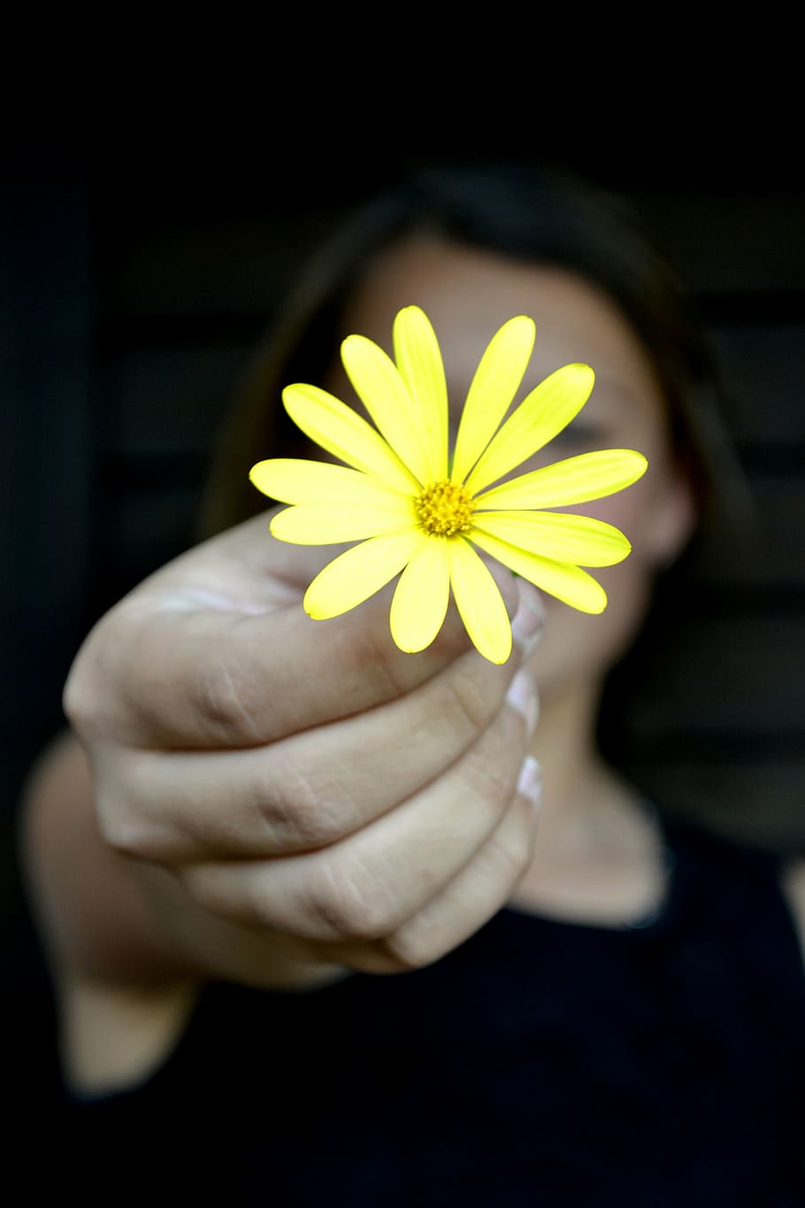 woman, holding, yellow, osteospermum flower, flower, daisy, peace, relaxation, hold, hand