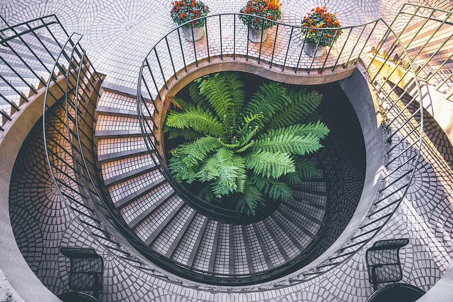 green leaf plant, spiral, staircase, architecture, interior, stairway, design, white, construction, railing