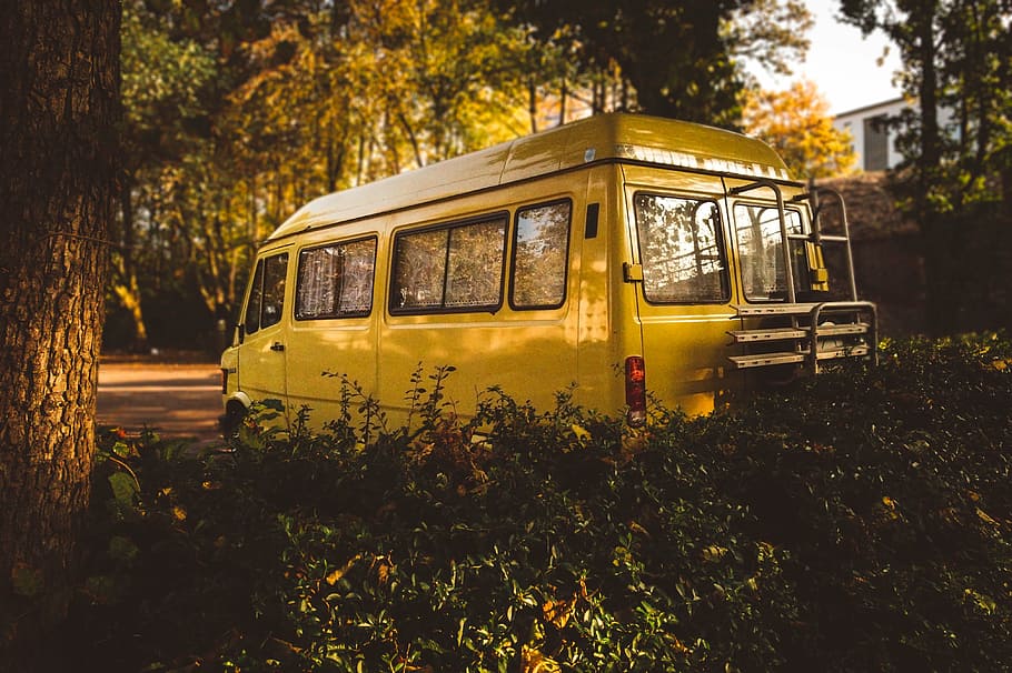 yellow, van, parked, tree, car, vehicle, green, plants, nature, trees