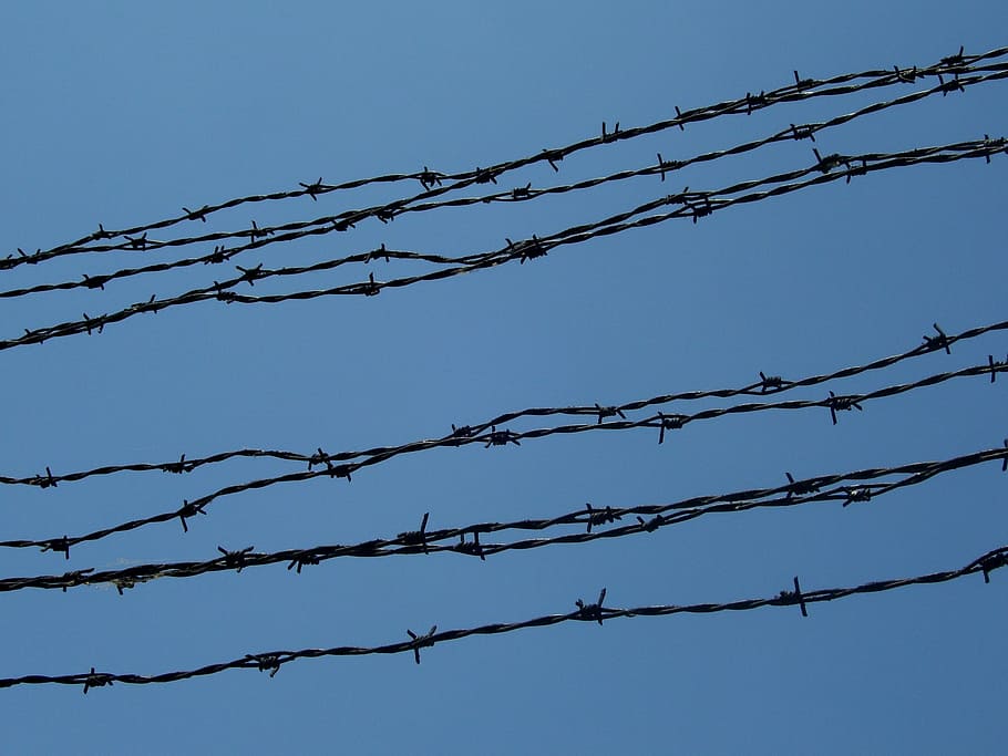 Barbed Wire, Bondage, Prison, Freedom, dom, sky, wires, fence, boundary, forbidden