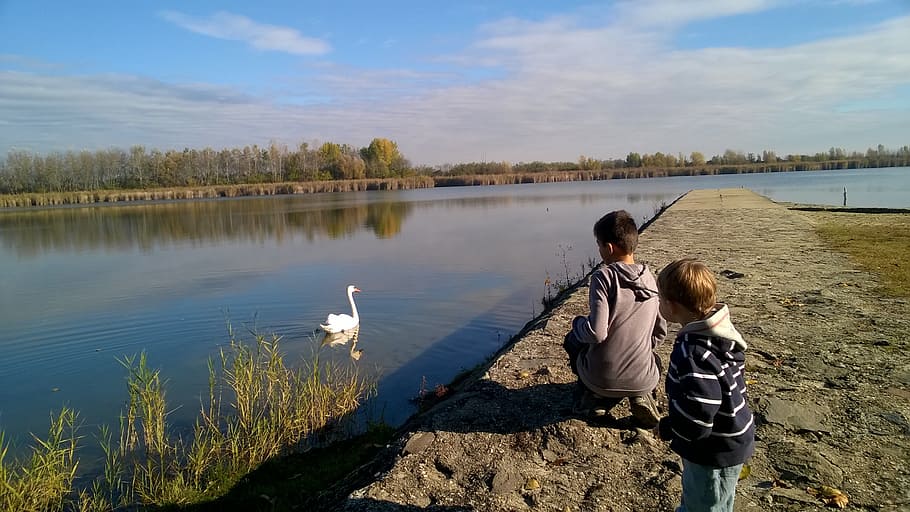 autumn, agricultural logistic, nature, landscape, water, swan, child, lake, childhood, real people