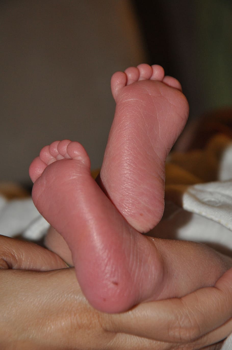 Pies pequeños, lindo, bebé, niño, pequeño, infantil, pie, parte del cuerpo humano, pie humano, descalzo