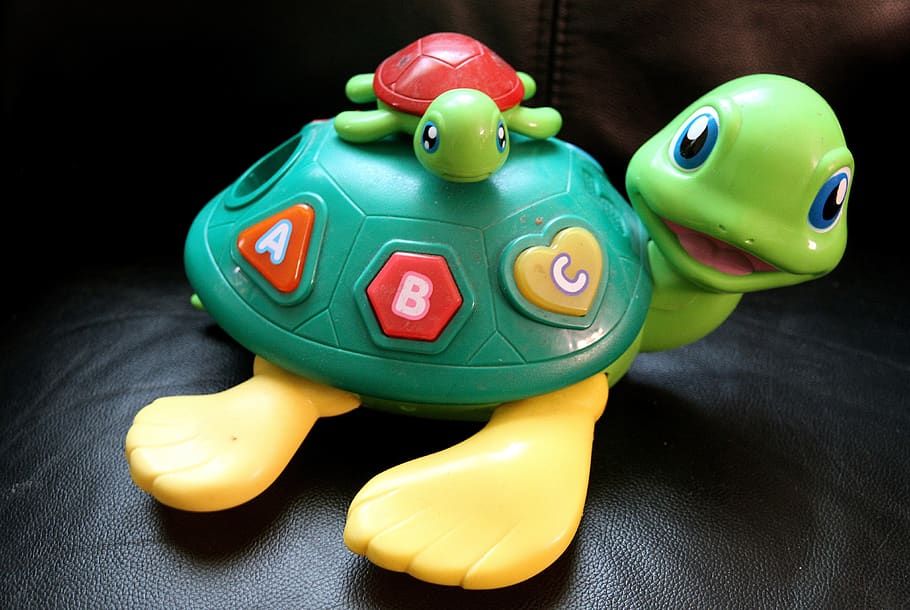 toy, young, kid, mother, numbers, tortoise, turtle, child, games, playing