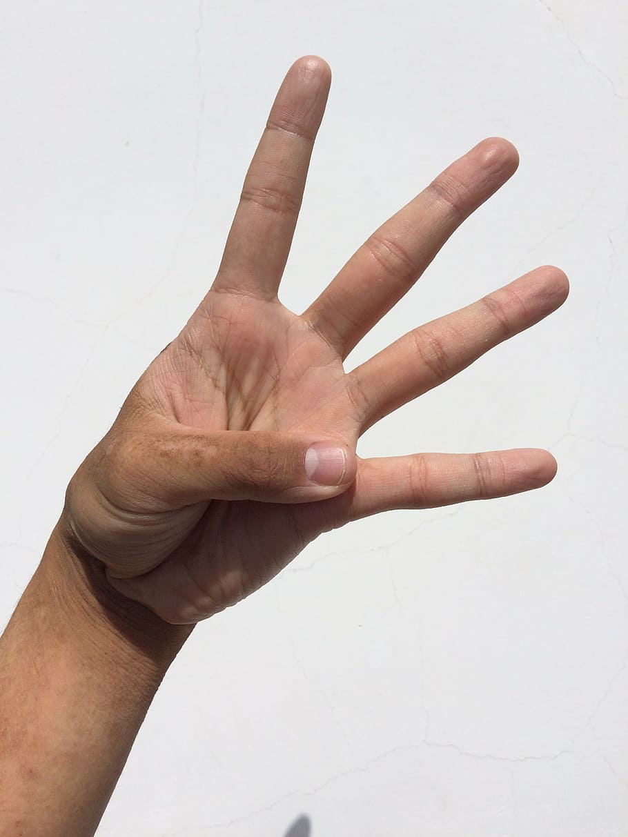 mão esquerda da pessoa, palma, mão, dedo, unha, jovem, japonês, pessoas, corpo, peças